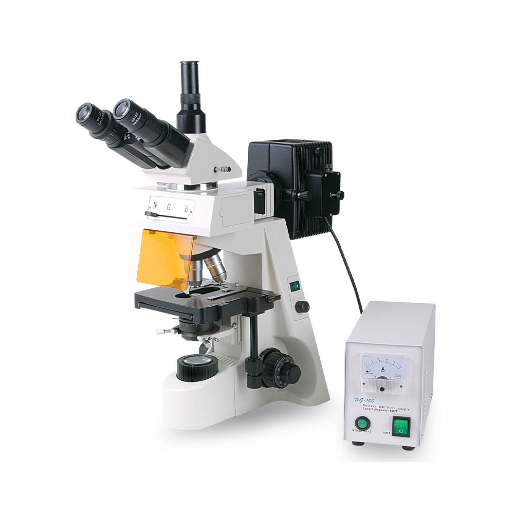 Microscopio de Fluoresencia 3002-F - 1000 x 1000
